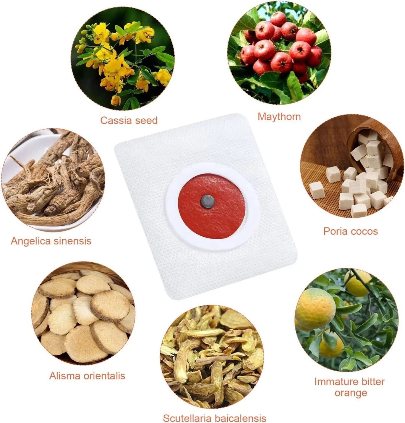 Flasteri za Mršavljenje 3+1 PAKET GRATIS – – – slika 6