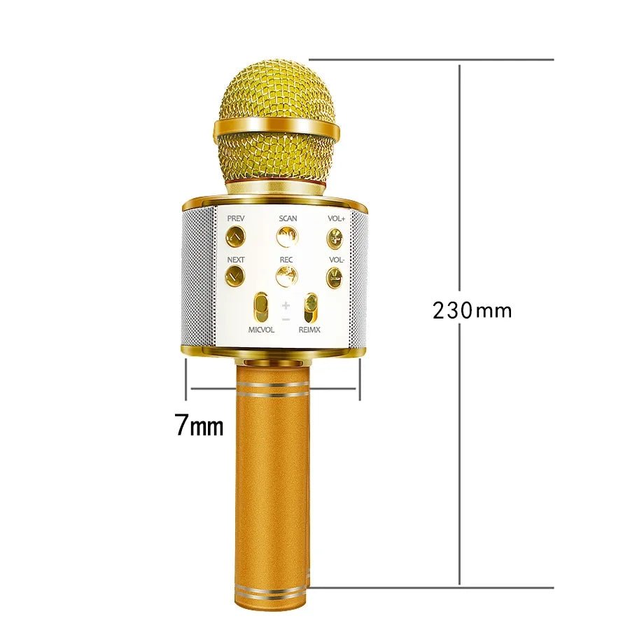 Bluetooth karaoke mikrofon - SAMO KLIKNI
