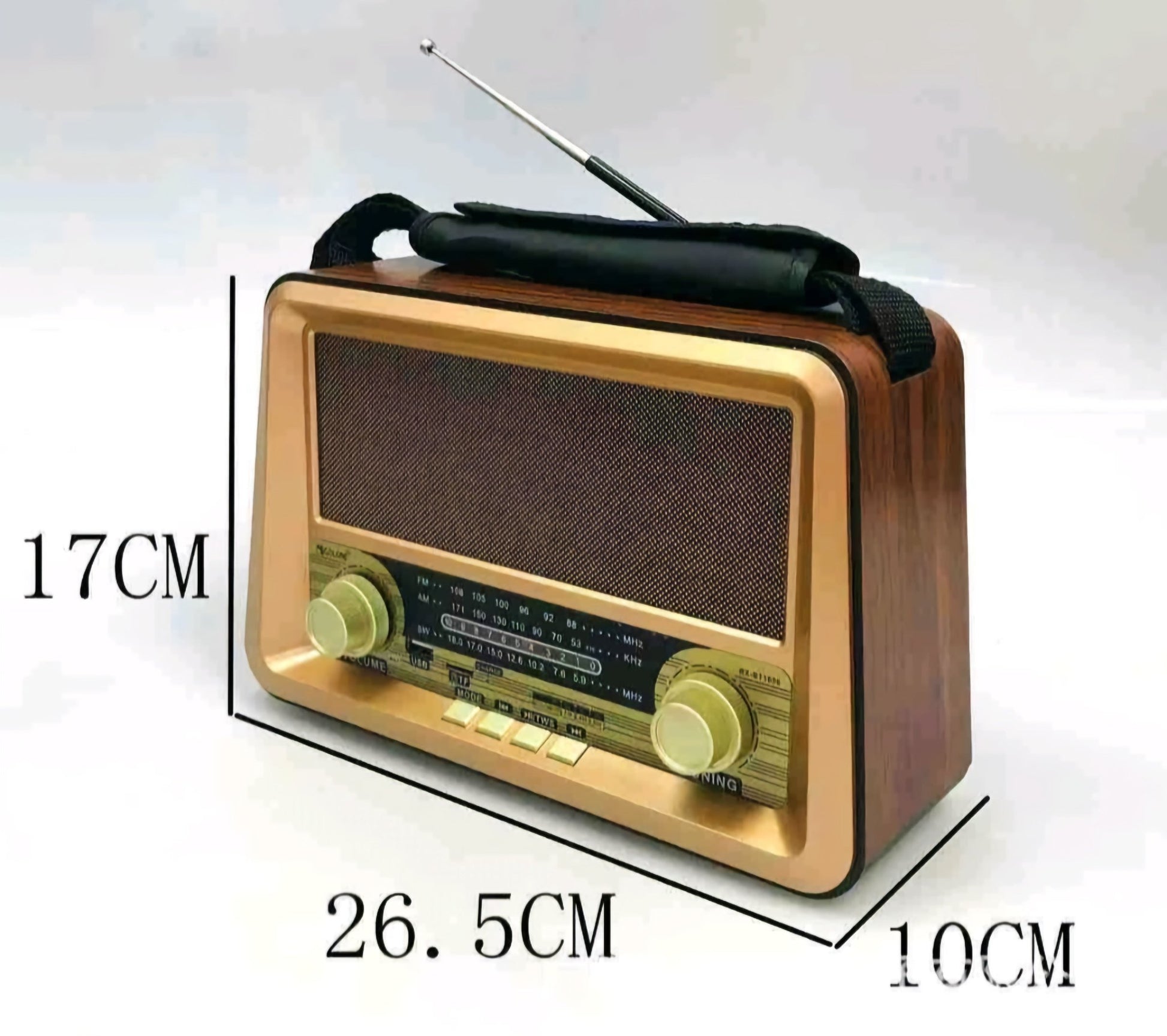 RX-BT1006 Prenosni Bluetooth Radio - SAMO KLIKNI