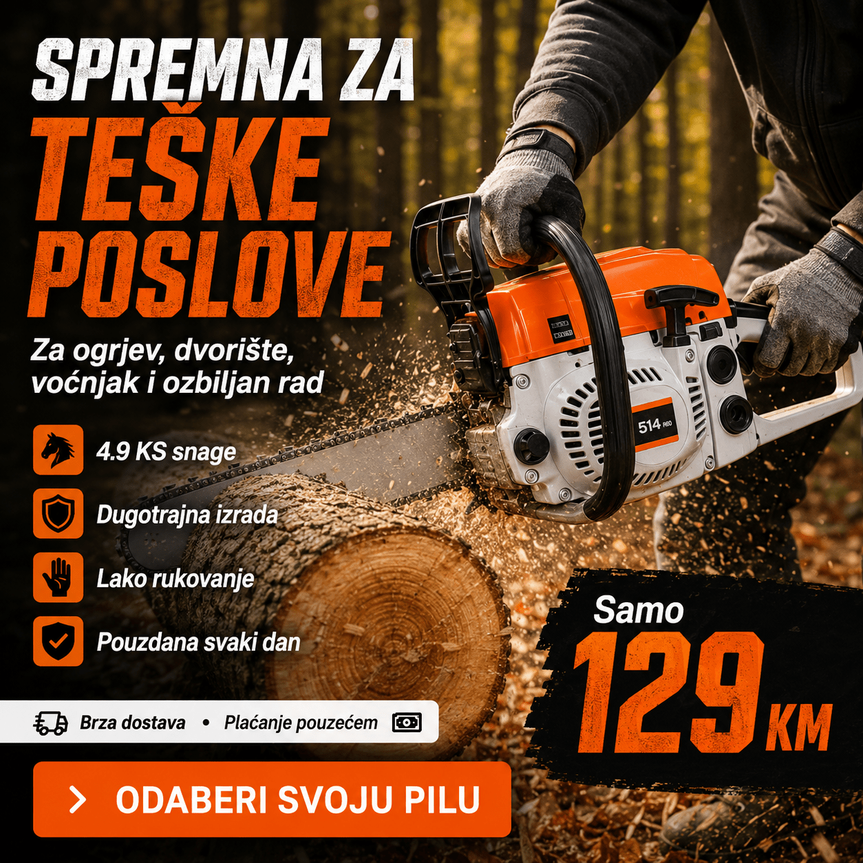 Straus motorna pila 4.9 KS – – – slika 4