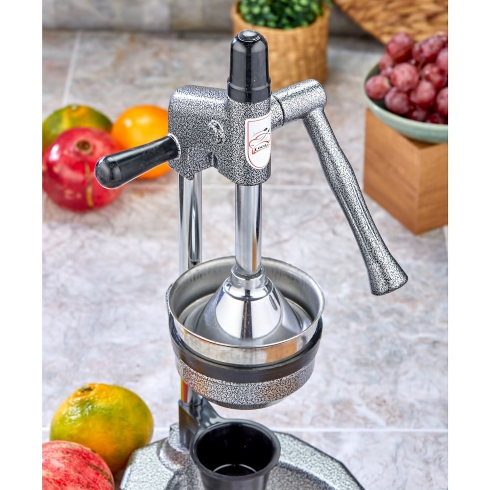 Profesionalna presa za voće